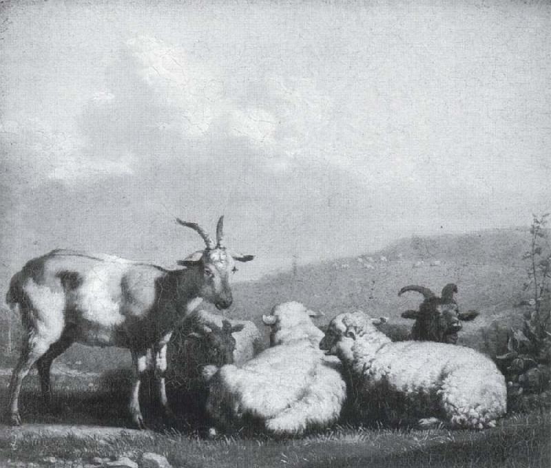 Karel Dujardin Sheep and goats Spain oil painting art